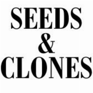 Seeds Clones