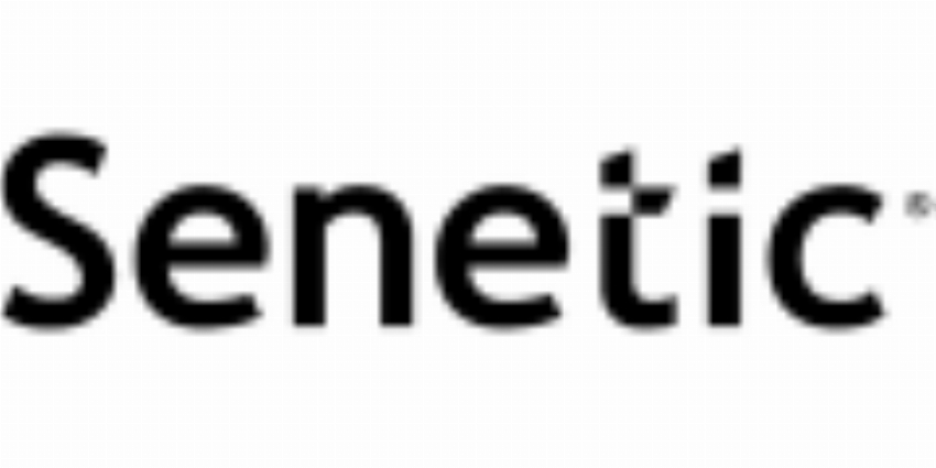 Senetic IT IT