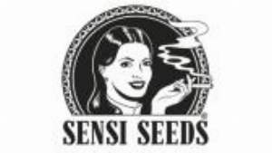 Sensi CBD OPE