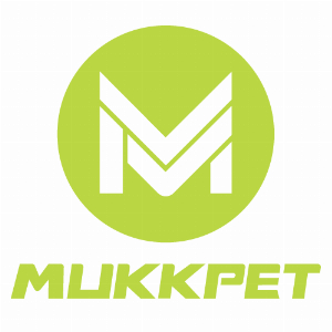 Shenzhen Ruiteng Zhihui Technology Co Ltd