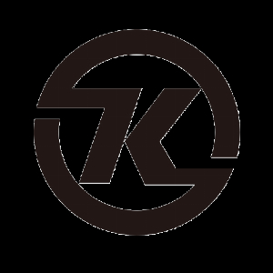 Shenzhen Udis e-commerce Co Ltd