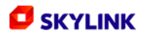 Skylink cz sk
