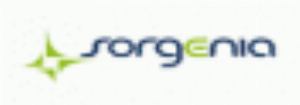 Sorgenia IT