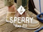 sperrytopsider it