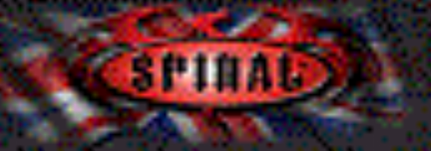 Kortingscode voor 10% off on all orders bij Spiral Direct