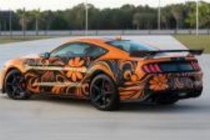 Stickalz Car Graphics Vehicle Decals