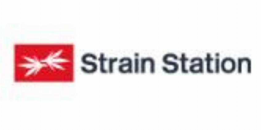 Strain Station