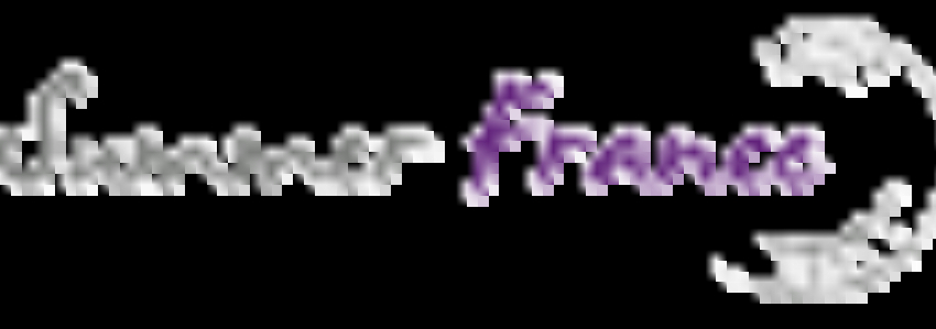 Kortingscode voor summer 2024: early booking deals bij Summer France