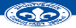 SV Darmstadt 98