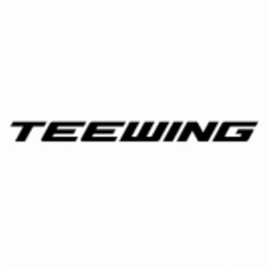TEEWING INDUSTRIAL HK CO LIMITED