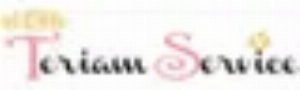 teriamservice it