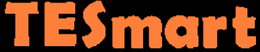 TESmart