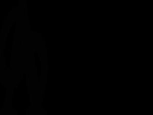 The Amsterdam Supplier