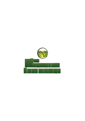 The Ayurveda Experience IT