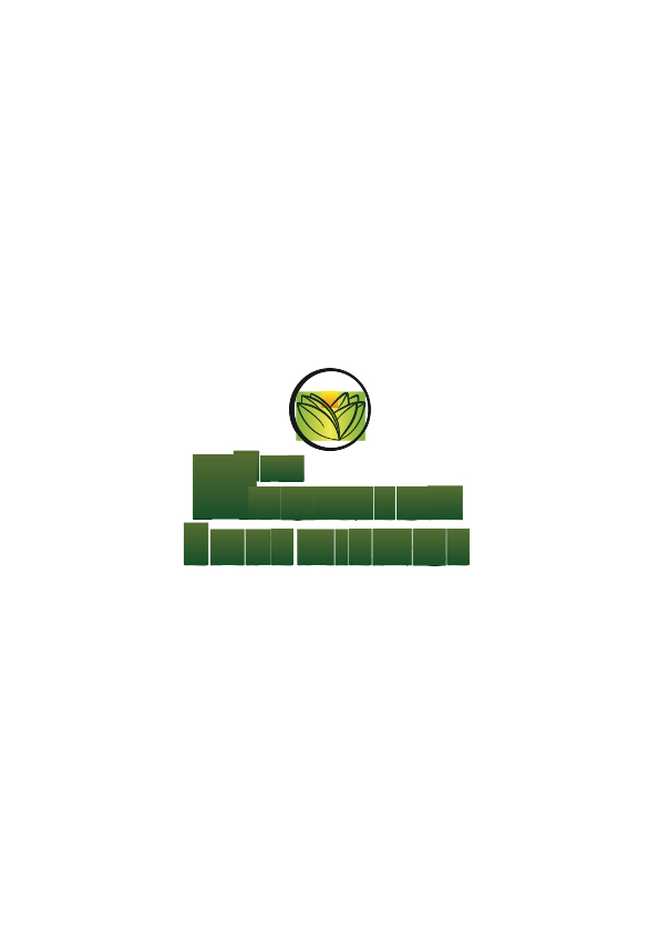 The Ayurveda Experience