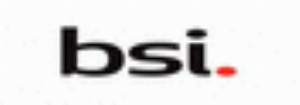The British Standards Institution