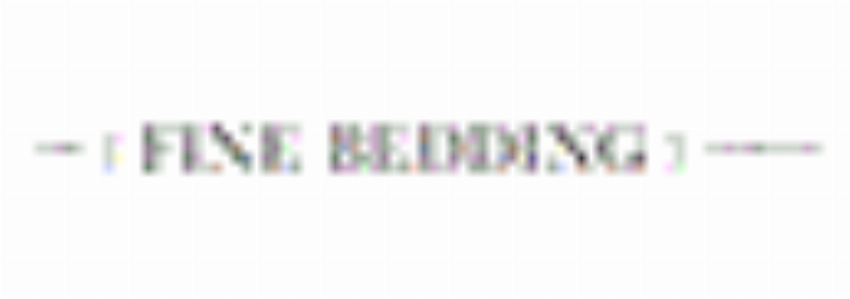 The Fine Bedding Company