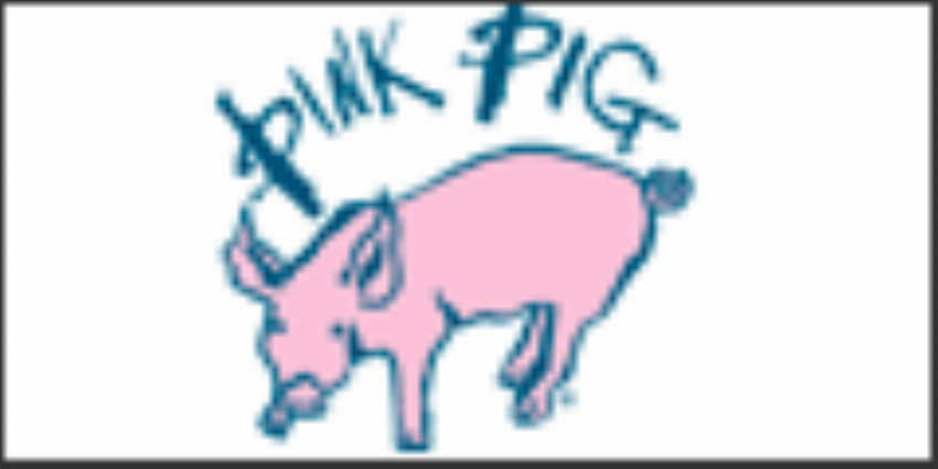 The Pink Pig