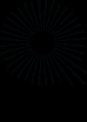The Qi Lifestyle Inc
