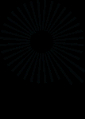 The Qi Lifestyle Inc