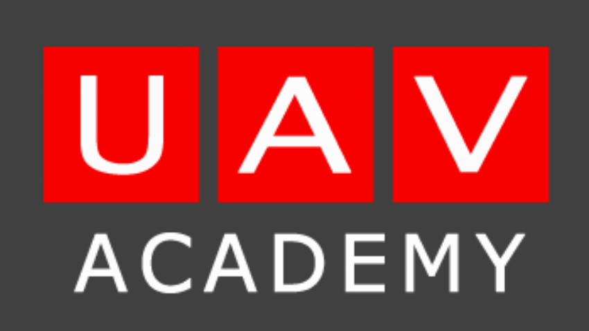 The V Academy