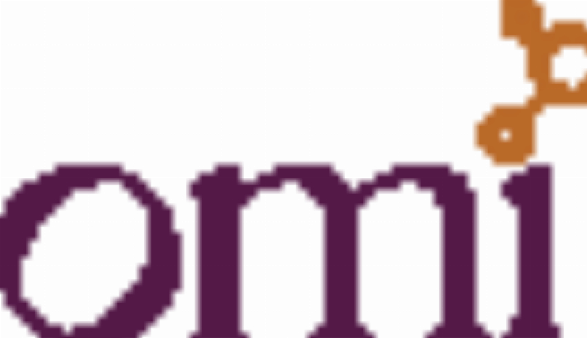 The WellBeauty Company