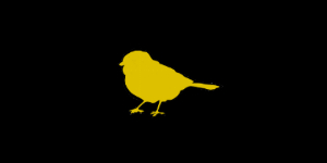 The Yellow Bird