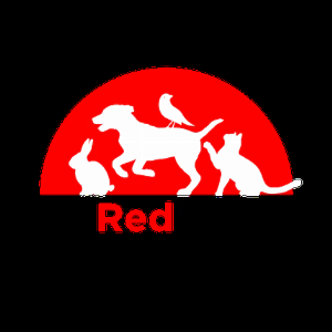 TheRedMarkets
