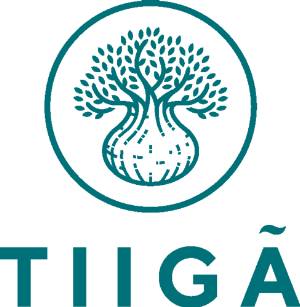 Tiiga