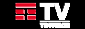 TIMVISION IT