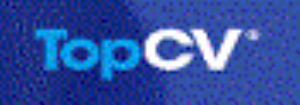 Top CV