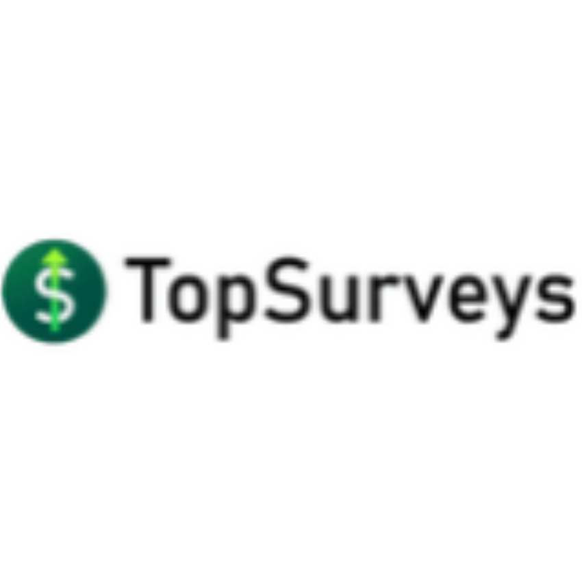 TopSurveys eng