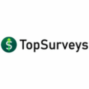 TopSurveys IT