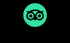 Tripadvisor - Experiences