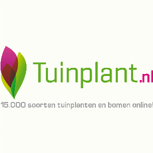 Tuinplant