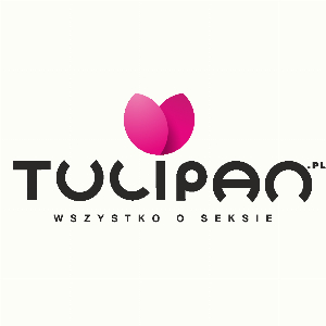Tulipan