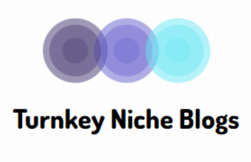 Turnkey Blogs - Blog templates for affiliate marke