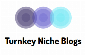 Turnkey Blogs - Blog templates for affiliate marke