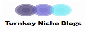Turnkey Blogs - Blog templates for affiliate marketing