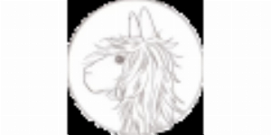 United States alicia adams alpaca