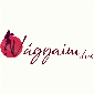 vagyaim hu