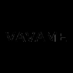 VAVAME CO LTD