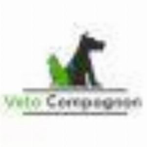 Veto compagnon - Standard
