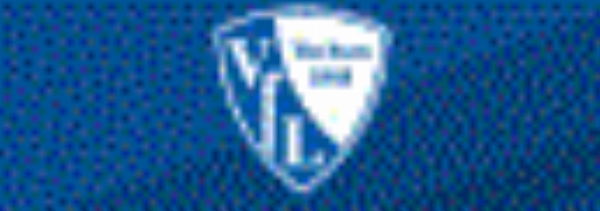 VfL Bochum