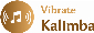 Vibrate Kalimba