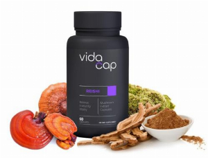 VidaCap Mushroom Supplements