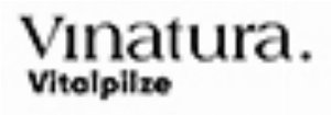 ViNatura Vitalpilze