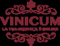 Vinicum IT