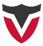 Viro Inc