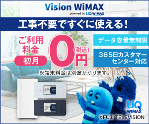 VisionWiMAX 21-0323